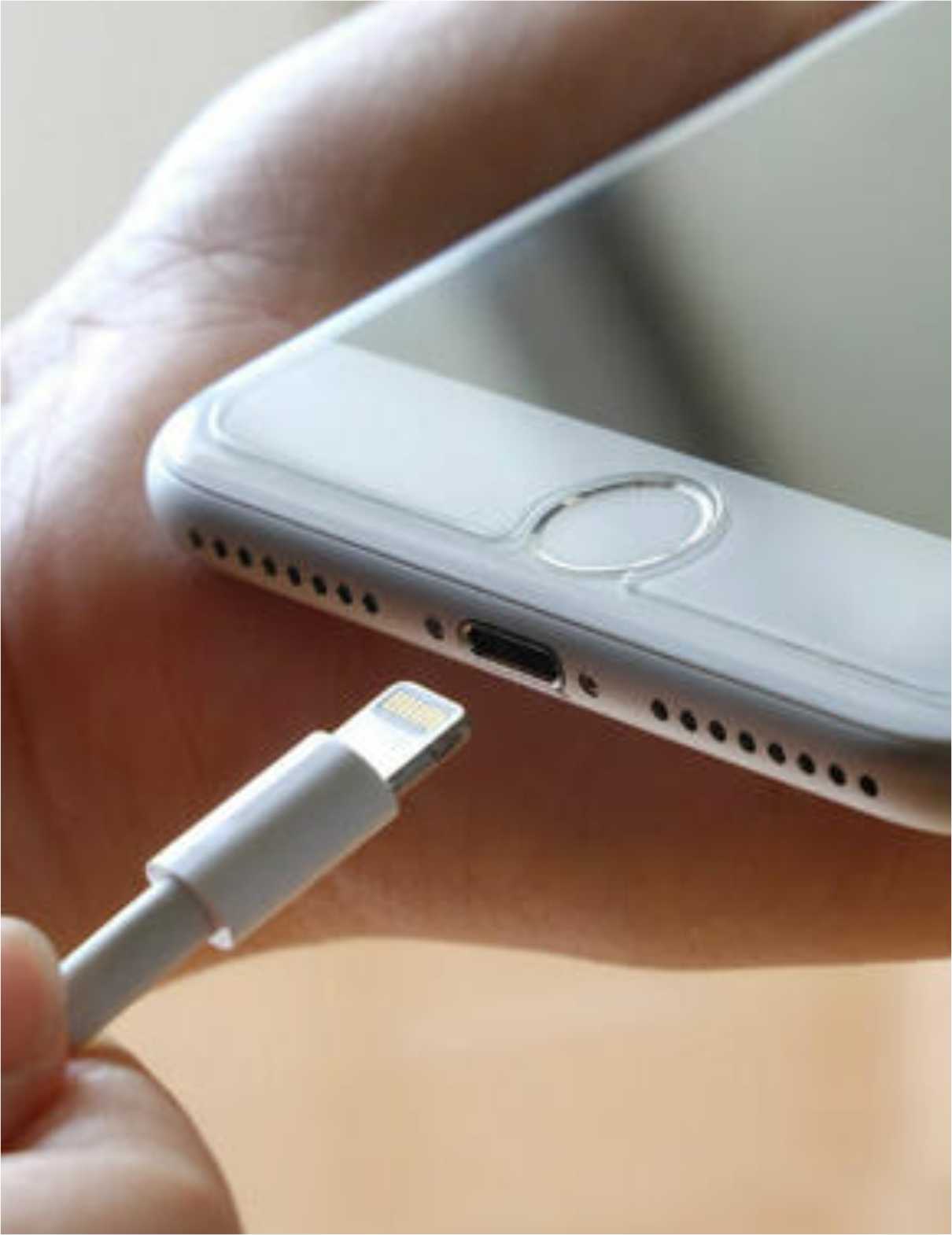 Lojão UD carregadores